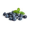 Fresh Frozen Organic Blueberries by Northwest Wild Foods - Healthy Antioxidant Fruit Diet - for Smoothies, Pies, Jams, Syrups (4.5 Pounds)