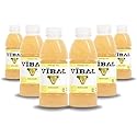 VIBAL ENERGY TEA, Lemonade, 16 Fl Oz, 6-Pack, Natural Energy, High Caffeine, Ginseng, Theanine, Low Sugar, Low Carb, Low Calorie, Adaptogens