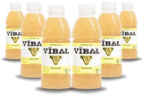 VIBAL ENERGY TEA, Lemonade, 16 Fl Oz, 6-Pack, Natural Energy, High Caffeine, Ginseng, Theanine, Low Sugar, Low Carb, Low Calorie, Adaptogens
