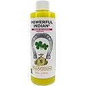 INDIO Powerful Indian Spiritual Bath & Floor Wash-FAST LUCK 8oz