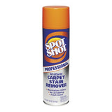 Professional Instant Carpet Stain Remover, Light Scent,18oz.Spray Can, 12/Carto