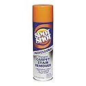 Professional Instant Carpet Stain Remover, Light Scent,18oz.Spray Can, 12/Carto