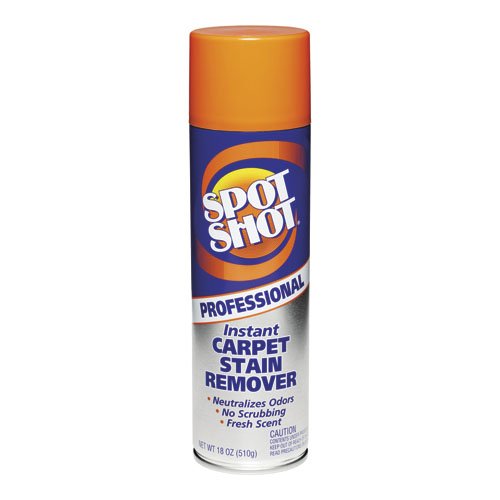 Professional Instant Carpet Stain Remover, Light Scent,18oz.Spray Can, 12/Carto