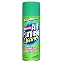 13OZ AP HSEHLD Cleaner
