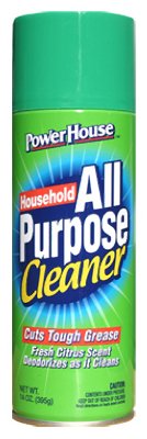 13OZ AP HSEHLD Cleaner