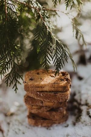 Trenary Toast - Cinnamon Chocolate Chip Toast *Seasonal* - The UP’s Favorite