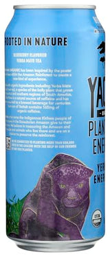 Yachak Organic Organic Berry Blue Yerba Mate Energy Drink, 16 FZ