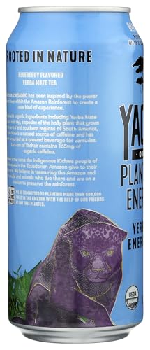 Yachak Organic Organic Berry Blue Yerba Mate Energy Drink, 16 FZ