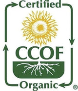 McCabe Organic Glutinous Sorghum, 2-pounds, USDA & CCOF Organic Certified, Product of USA