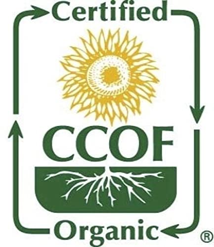 McCabe Organic Glutinous Sorghum, 2-pounds, USDA & CCOF Organic Certified, Product of USA