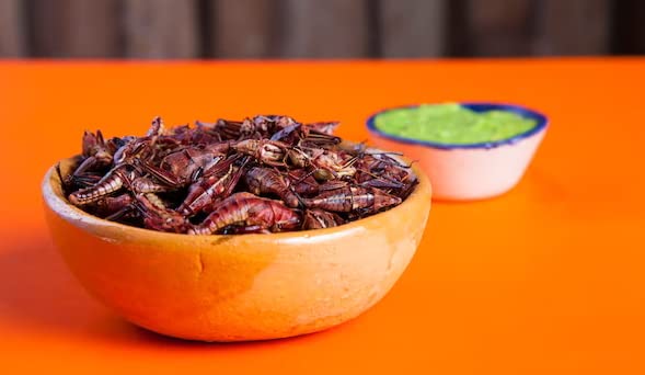 Chapulines Sabor Sal y Limon from Oaxaca Mexico 3.5oz (100g) | Ready to Eat Natural Grasshoppers with Salt & Lime