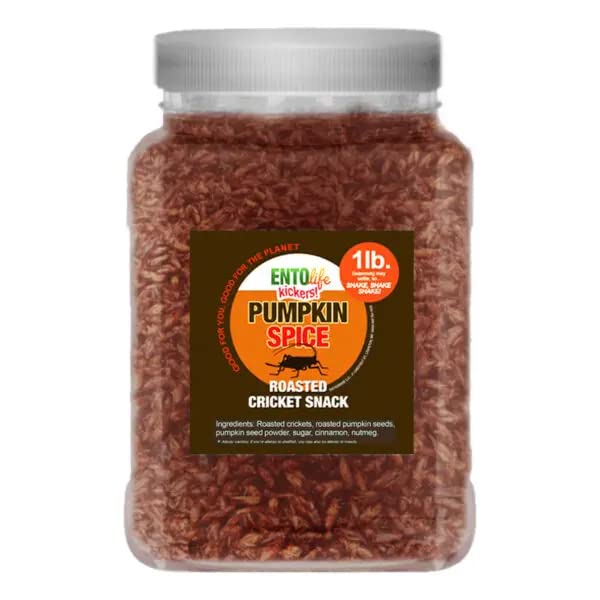 Pumpkin Spice Flavored Edible Cricket Snacks - Pound Size - Crickets You can eat - Raised for Human Consumption, 1 pounds