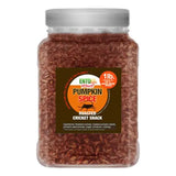 Pumpkin Spice Flavored Edible Cricket Snacks - Pound Size - Crickets You can eat - Raised for Human Consumption, 1 pounds