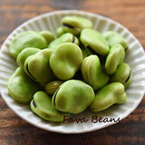 Takahashi fava beans shoyu, perfect soy sauce taste, Soy Sauce Alternative - Gluten-Free, Soy bean-Free, No Fat, Low Calories, no additives - 16.9 fl