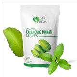 Kalanchoe Pinnata Leaves Herbal tea - 100% Pure, Dried Leaves for Culinary, Tea, and Herbal Uses