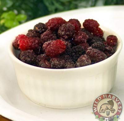 Fresh Frozen Wild Mountain Blackberries by Northwest Wild Foods - Healthy Antioxidant Fruit Diet - for Smoothies, Pies, Jams, Syrups (4.5 Pounds)