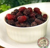 Fresh Frozen Wild Mountain Blackberries by Northwest Wild Foods - Healthy Antioxidant Fruit Diet - for Smoothies, Pies, Jams, Syrups (4.5 Pounds)