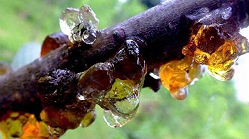 Wild Natural Tao Jiao Peach Resin Gum Jelly, Food additives Free, All Natural (1 Pound)