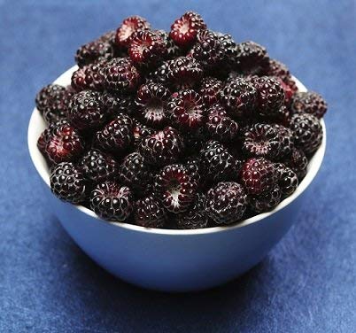 Fresh Frozen Black Raspberries by Northwest Wild Foods - Healthy Antioxidant Fruit Diet - for Smoothies, Pies, Jams, Syrups (4.5 Pounds)