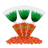 Peanut Butter Chocolate Pieces Carrots 2.2oz (Pack of 3) Easter Candy