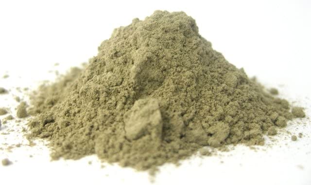 NY Spice Shop Kelp Powder (Ascophyllum Nodosum) - 100% Natural Seaweed Powder for Culinary & Seasoning - Premium Quality, Sustainably Harvested - 16oz