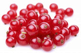 Fresh Frozen Organic Red Currants by Northwest Wild Foods - Healthy Antioxidant Fruit Diet - for Smoothies, Pies, Jams, Syrups (9 Pounds)