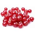 Fresh Frozen Organic Red Currants by Northwest Wild Foods - Healthy Antioxidant Fruit Diet - for Smoothies, Pies, Jams, Syrups (9 Pounds)