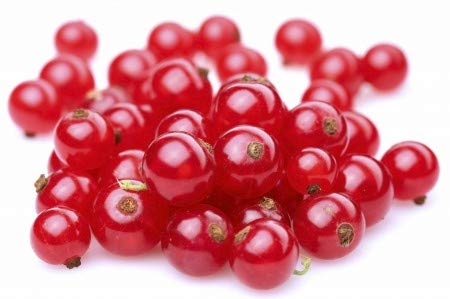 Fresh Frozen Organic Red Currants by Northwest Wild Foods - Healthy Antioxidant Fruit Diet - for Smoothies, Pies, Jams, Syrups (9 Pounds)
