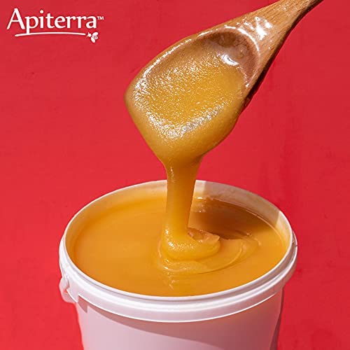 Apiterra - Raw Honey Bulk 16 lbs Bucket Unfiltered Unpasteurized 100% Pure and Natural Wildflower Raw Honey