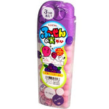 Lotte Fusen No Mi Blueberry Gum 1.34 oz