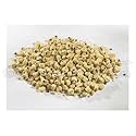 T.R. Toppers Chocolate Chips Cookie Dough Topping, 10 Pound -- 1 each.