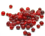 Fresh Frozen Wild Lingonberries by Northwest Wild Foods - Healthy Antioxidant Fruit Diet - for Smoothies, Pies, Jams, Syrups (9 Pounds)