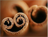 DAVIDs TEA Organic Cinnamon Rooibos Chai Tea