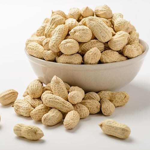 Gurley's Premium Peanuts In-Shell, Fire Roasted & Salted In Shell Peanut, Bulk Party Pack, 10 lb Box - Dry Roasted Peanuts Salty Snack for Events
