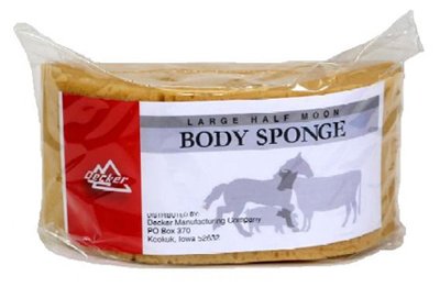 #20 Humpback Sponge, 8.5 x 4 x 3.5-In.