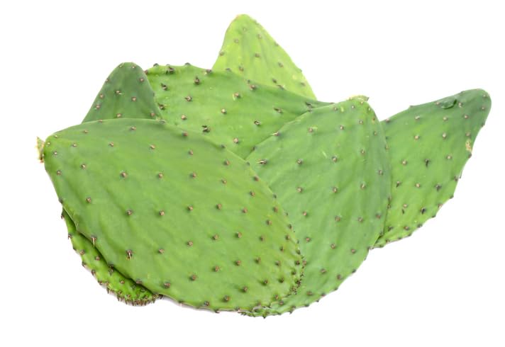 Nopal Cactus Powder, 56 Grams, Opuntia Streptacantha Herbal Tea - Resealable Bag