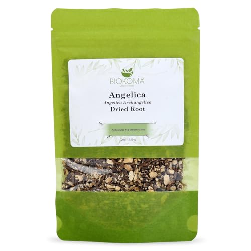 Biokoma Angelica Dried Root 100g 3.55oz Loose Herb Dong Quai Angelica Archangelica Herbal Tea Digestive Respiratory Support Women’s Health Resealable