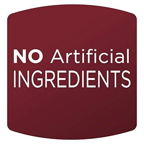 Orchard Valley Harvest Glazed Pecans Salad Toppers, 0.85 Ounce Bags (Pack of 15), with Cranberries and Pepitas, Non-GMO, No Artificial Ingredients