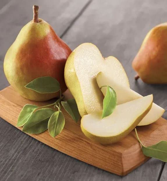 Harry & David Merry Mix-Up Fruit & Nut Gift Baskets, Fruit & Cheese Gift Baskets With Pears, Mixed Nuts & White Cheddar Cheese, Perfect For Any
