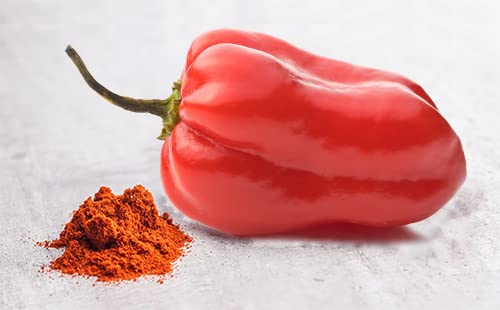 Unpretentious Habanero Powder, Hot & Spicy, Chili & Sauces, Mexican Cuisine (1 Pound)