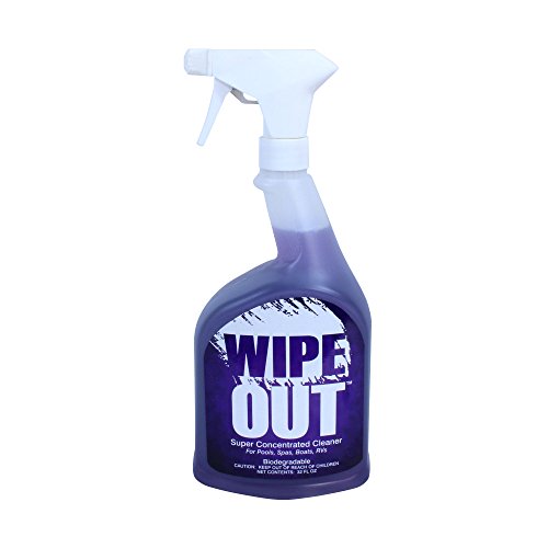 Wipeout Wipe Out 6012 All Purpose Surface Cleaner for Swimming Pools, 1-Quart