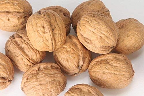 Walnuts In-shell (Whole) (3 LB)