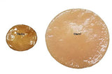 Extra Large Kombucha SCOBY With 12 Ounces - 1.5 Cups of Starter Tea Live Culture Basic Starter Kit Makes 1 Gallon