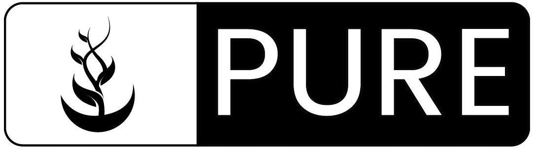 Pure Original Ingredients Onion Powder (1 Gallon) Seasoning, Cooking, Soups, Stews, and Dips