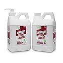 Naeterra 2-Pack All Purpose Aromatherapy Cleaner Concentrate (Total 128oz) - Makes 256 Refills - Plant-Based Formula - Clove, Cinnamon & Rosemary