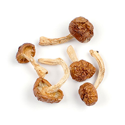 Essential Spice Dried Nameko Mushrooms - Mild, Buttery Flavor with Silky Texture - Ideal for Soups, Stir-Fries, Ramen & Asian-Inspired Dishes - Easy