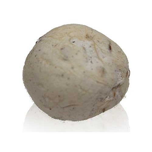 OMNIYA Delicacy - Man w Salwa Pistachio Nougat Balls (6 oz) - Authentic Mann al Sama with Egg White, Cardamom & Pistachio - Traditional Middle Eastern