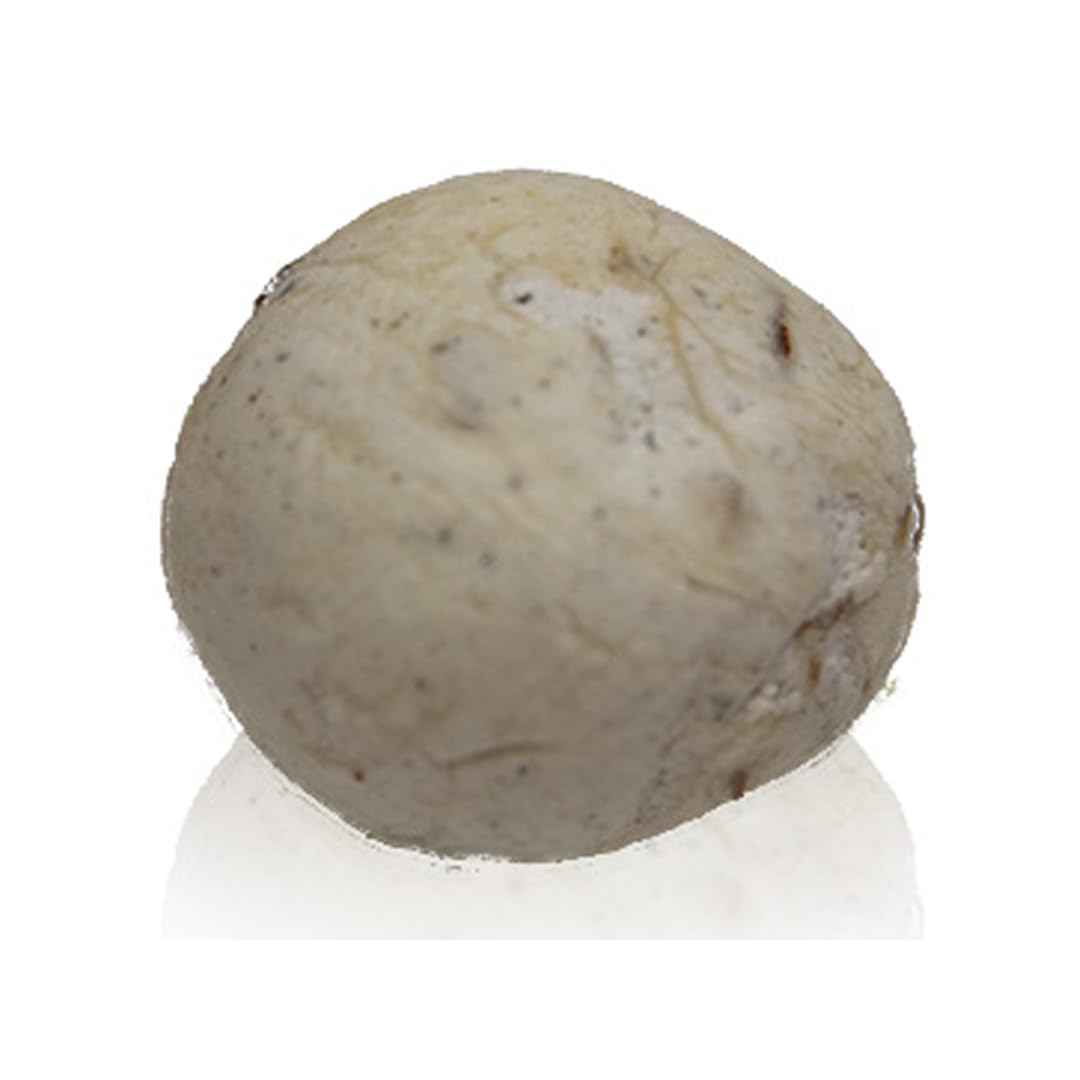 OMNIYA Delicacy - Man w Salwa Pistachio Nougat Balls (6 oz) - Authentic Mann al Sama with Egg White, Cardamom & Pistachio - Traditional Middle Eastern