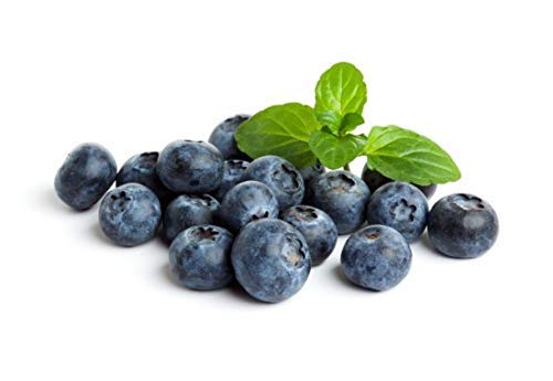 Fresh Frozen Organic Blueberries by Northwest Wild Foods - Healthy Antioxidant Fruit Diet - for Smoothies, Pies, Jams, Syrups (9 Pounds)