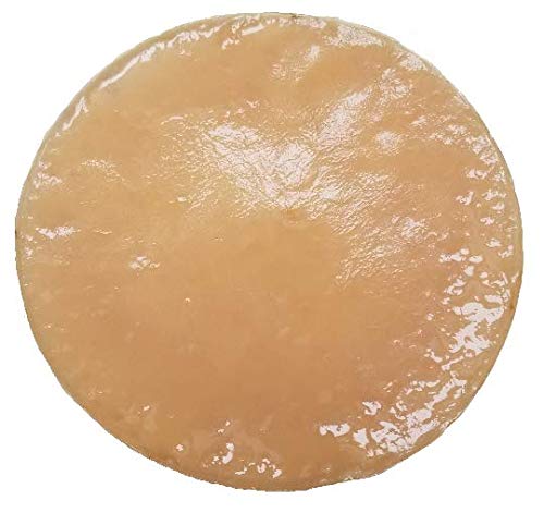 Extra Large Kombucha SCOBY With 12 Ounces - 1.5 Cups of Starter Tea Live Culture Basic Starter Kit Makes 1 Gallon